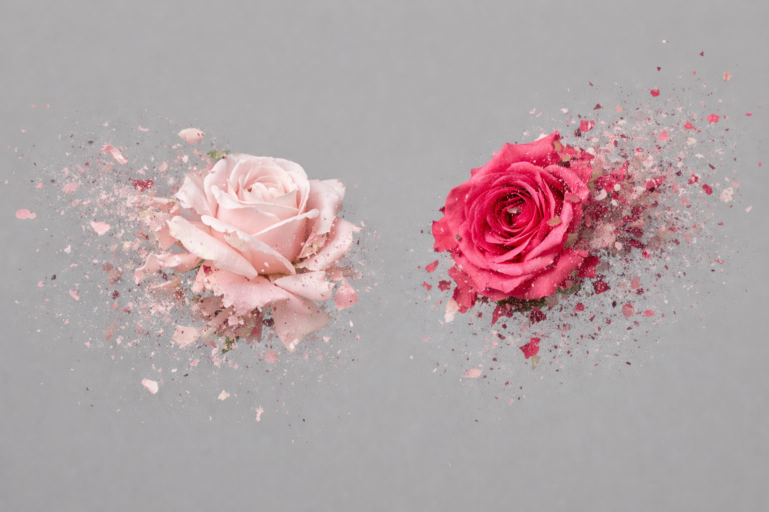 Botanical macro photography